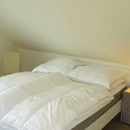 Awesome In With Sauna Apartment